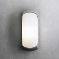 Уличное бра FUMAGALLI FRANCY-OP 2A1.000.000.LYF1L, Серый и Опал (молочный), с лампой 800Lm, 4000К